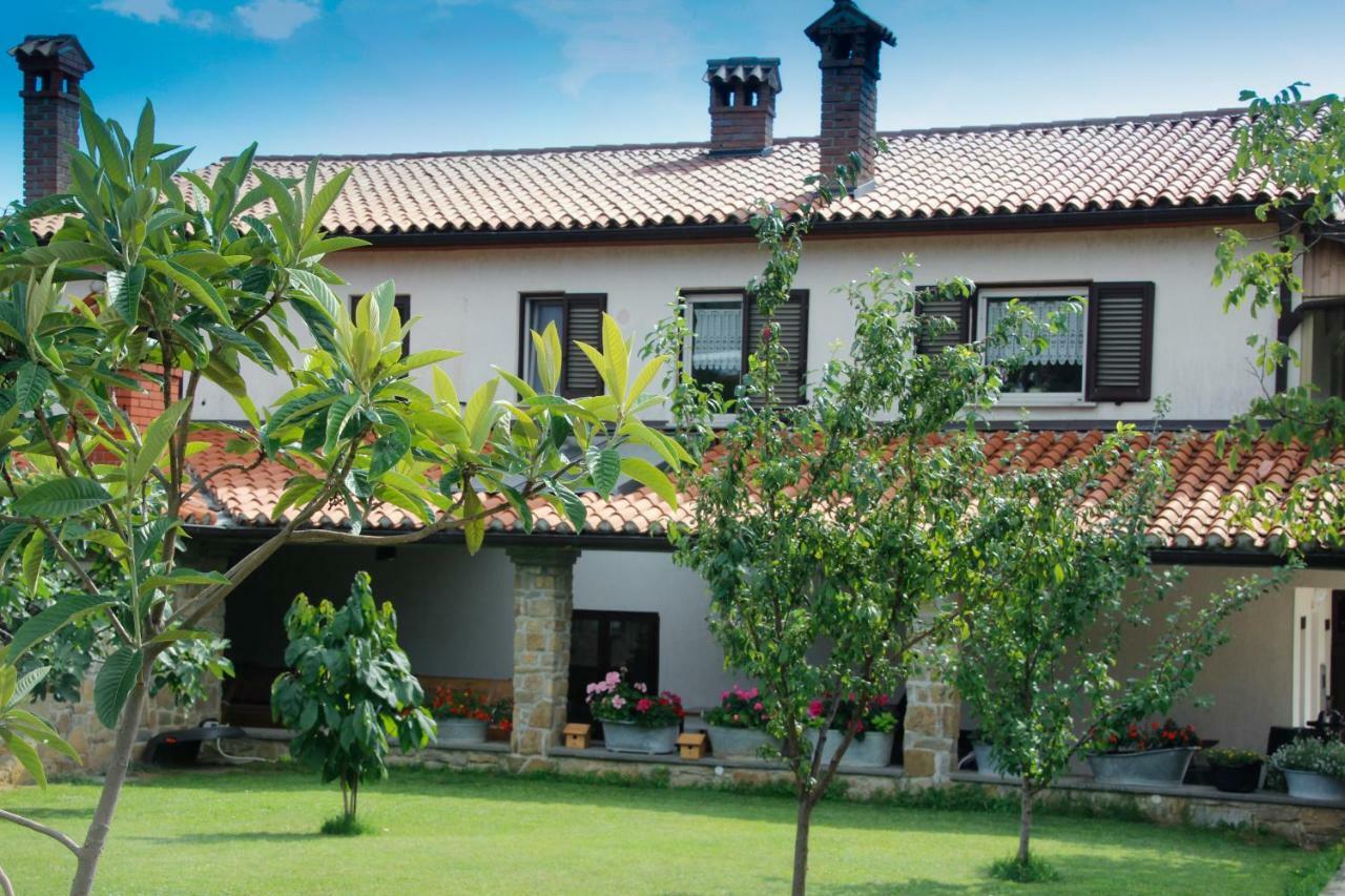 Tourist Farm With Apartments Fig Tree Dekani Exteriér fotografie
